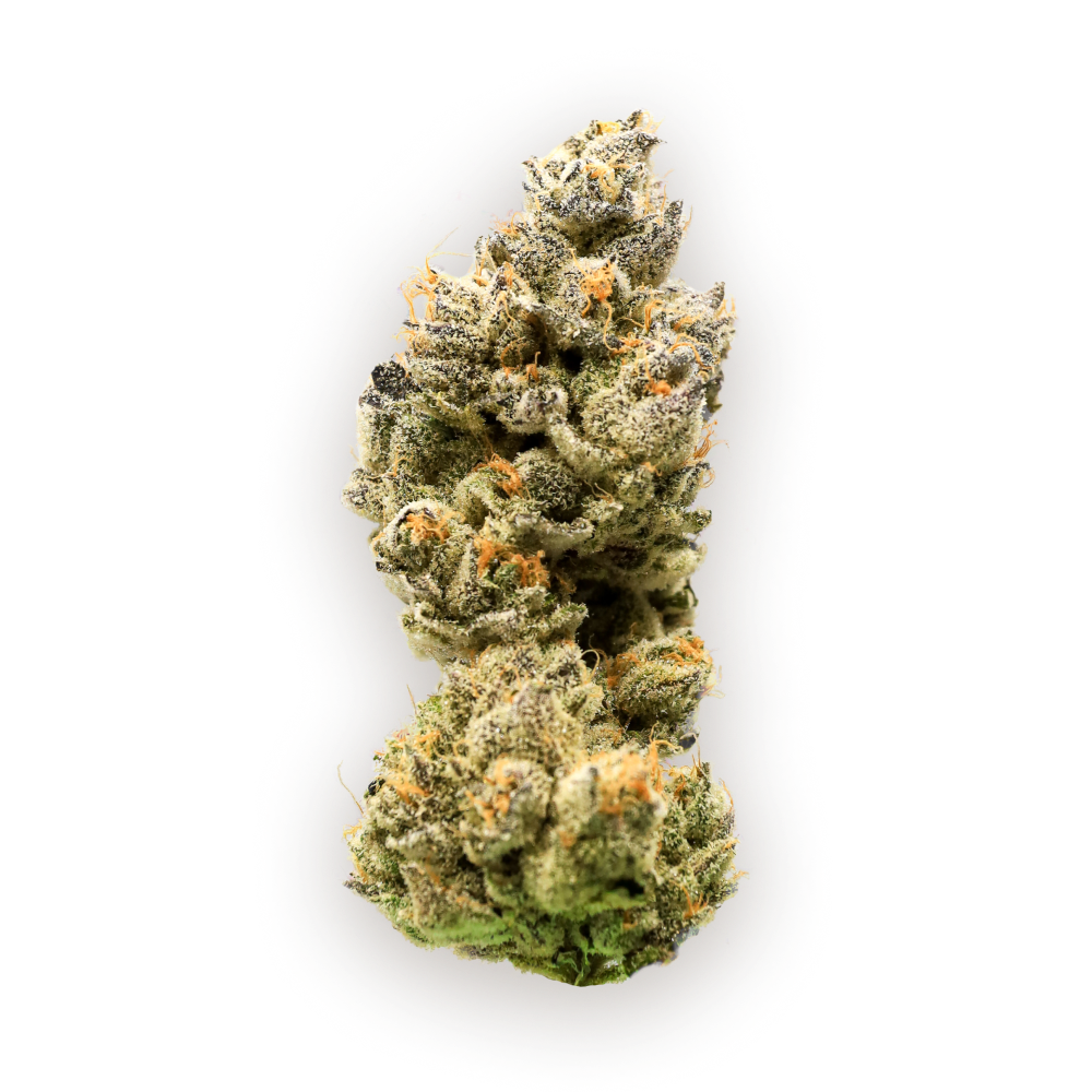 Cereal Milk | Indica Hybrid | CANNABIOTIX